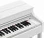 Цифровое пианино Casio Celviano AP-470WE + Банкетка