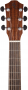 Гитара акустическая Baton Rouge AR21C/A