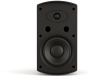 Громкоговоритель настенный CVGaudio RF616TBL