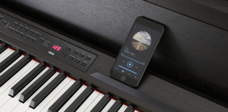 Цифровое пианино Korg C1 AIR BR