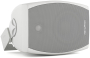 Громкоговоритель настенный CVGaudio ODF408TW