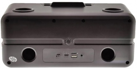 Караоке система с двумя радиомикрофонами  SDRD SD-319 Black