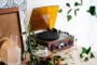 Виниловый проигрыватель Lenco TT-43 Walnut