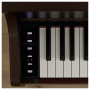 Цифровое пианино Casio Celviano AP-300BN