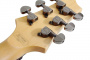 Электрогитара SCHECTER SGR C-1 EB
