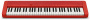 Цифровое пианино Casio CT-S1RD
