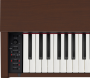 Цифровое пианино Casio Privia PX-770BN
