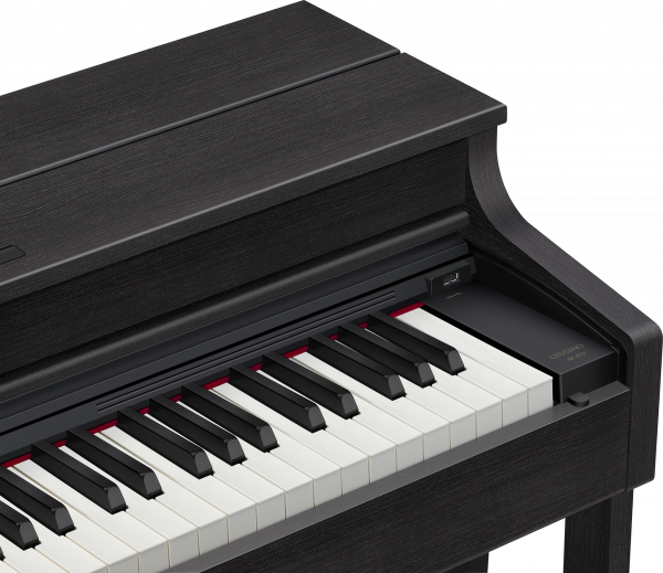 Цифровое пианино Casio Celviano AP-470BК