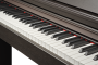 Цифровое пианино Becker BDP-82R