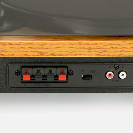 Виниловый проигрыватель Lenco LS-300 Wood