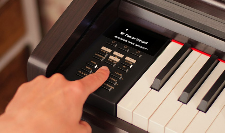 Цифровое пианино Kawai CA59 R