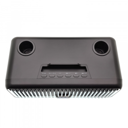 Караоке система с двумя радиомикрофонами  SDRD SD-319 Black