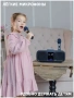 Караоке система с двумя радиомикрофонами SDRD SD 318 Grey